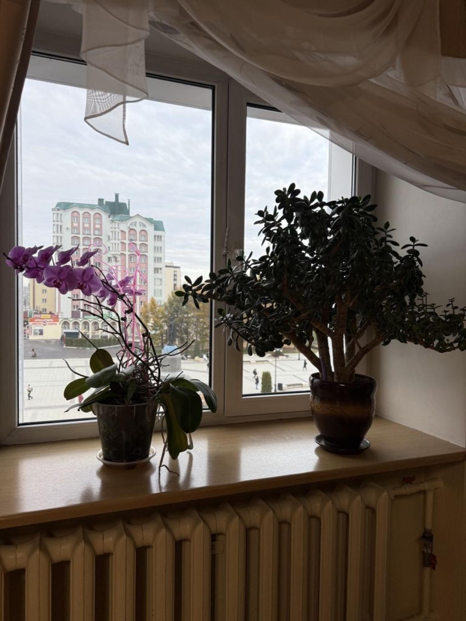 Купить квартиру за 11 990 000 рублей на Ленина ул, 102Вк1