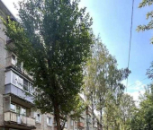 1-комн, 32кв м, этаж 5/5 ул Горького, 53