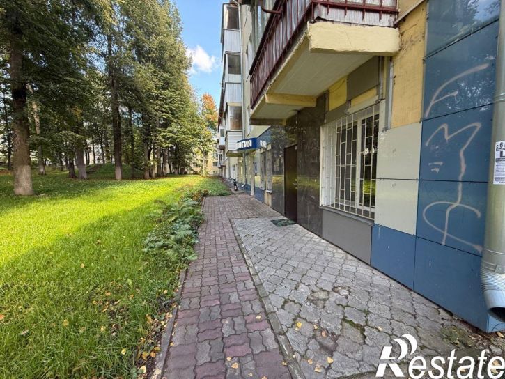 Офис Владимирская ул, 86